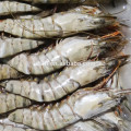 HL002 prix de la meilleure qualité de crevettes fraîches congelées